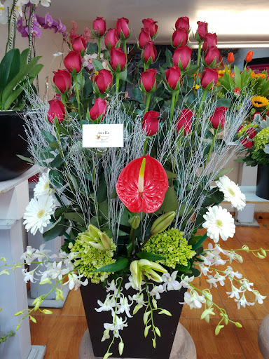 Florería Aneliz florería en  en la zona Francisco Murguía