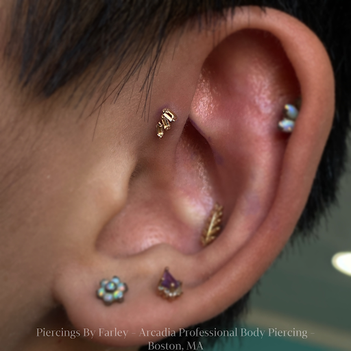 Explore tattoo ideas for truckers, creative tattoo ideas in Boston, available at Arcadia Body Piercing