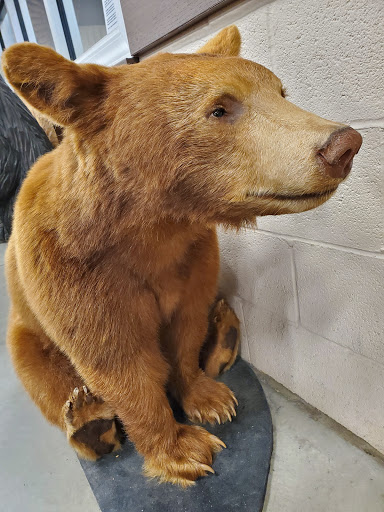 Grocery Store «Country View Grocery», reviews and photos, 1941 Horseshoe Pike, Annville, PA 17003, USA