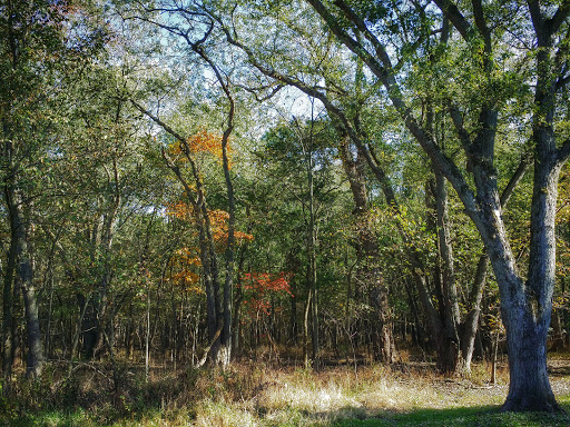 Nature Preserve «Jurgensen Woods Nature Preserve», reviews and photos, 183rd St, Lansing, IL 60438, USA