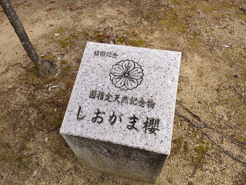 正神神社