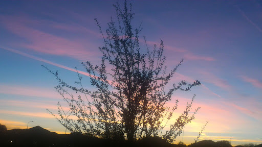 Park «Centennial Park», reviews and photos, 2475 E Markwood Dr, Chandler, AZ 85286, USA