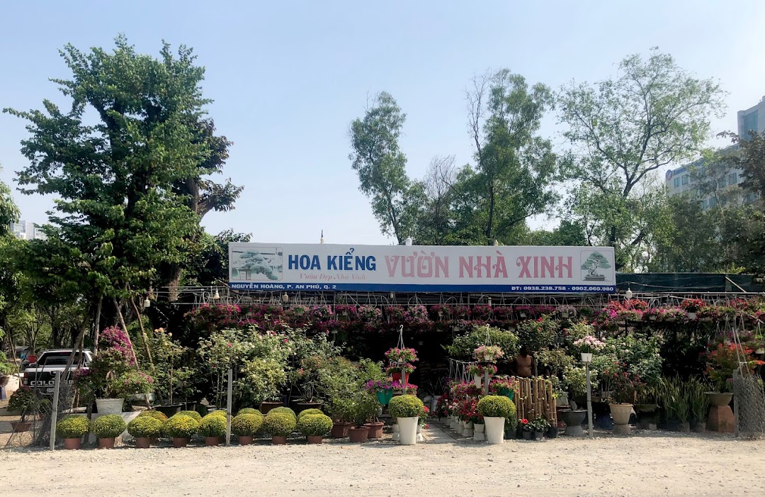 Hoa kiểng Vườn Nhà Xinh