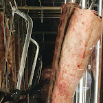 Photo n°4 de l'avis de Jakob.i fait le 09/11/2022 à 16:56 sur le  ÜBERLAND Restaurant à Braunschweig