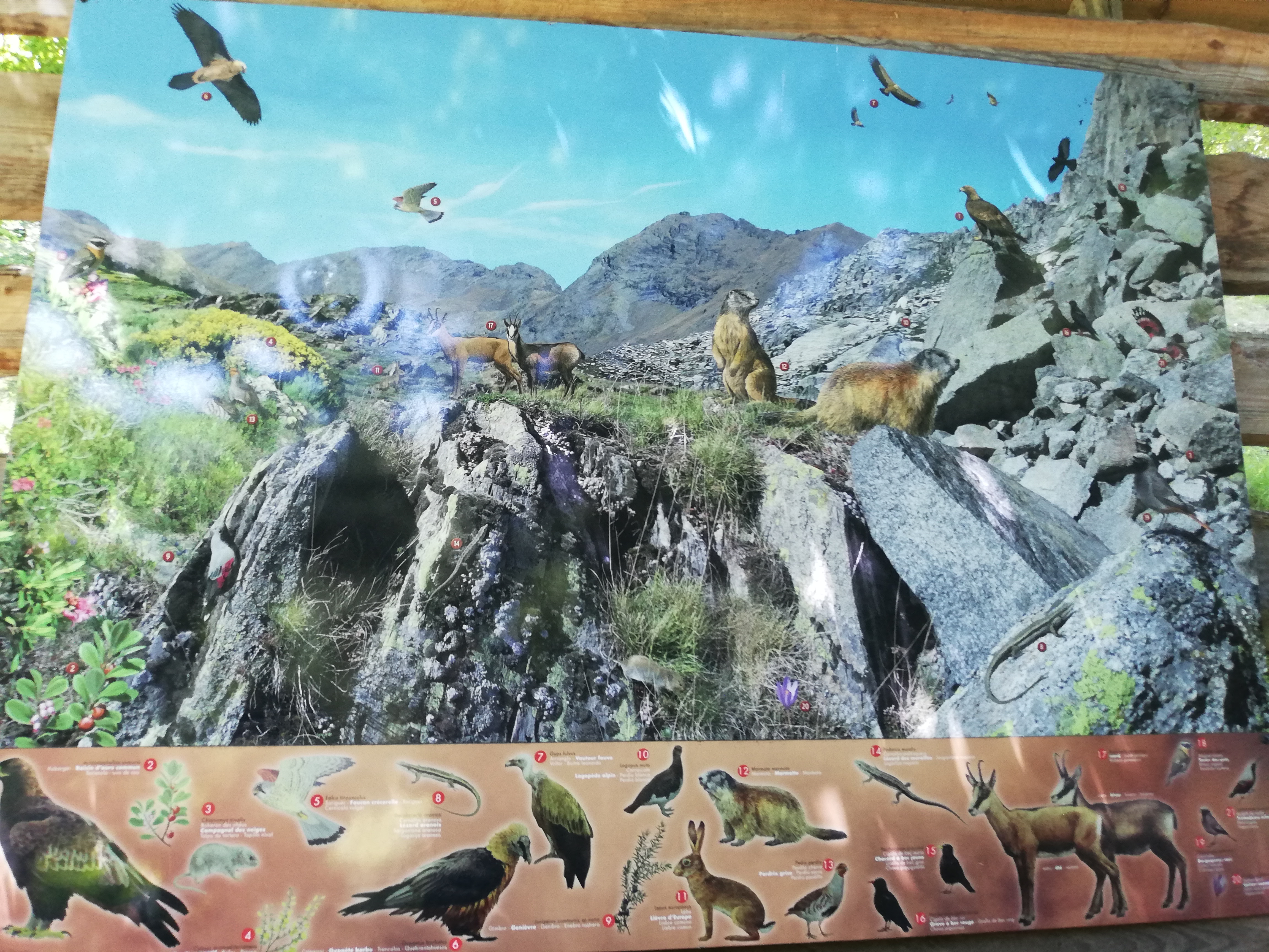 Photo n° 34 de l'avis de Soleil. fait le 20/08/2020 à 12:36