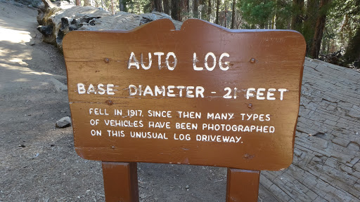 National Park «Sequoia National Park», reviews and photos