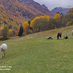 Photo n°5 de l'avis de erika.a fait le 21/11/2021 à 07:28 sur le  Baita Tre Larici à Peio