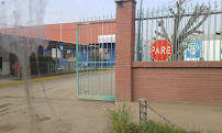 Patricio Lioi y Cia