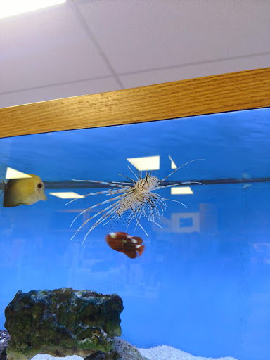 Pet Store «Odd Lot Pet Shop», reviews and photos, 7769 S Harlem Ave, Bridgeview, IL 60455, USA