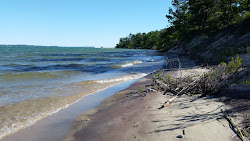 Foto de Maple Bay Beach - lugar popular entre os apreciadores de relaxamento