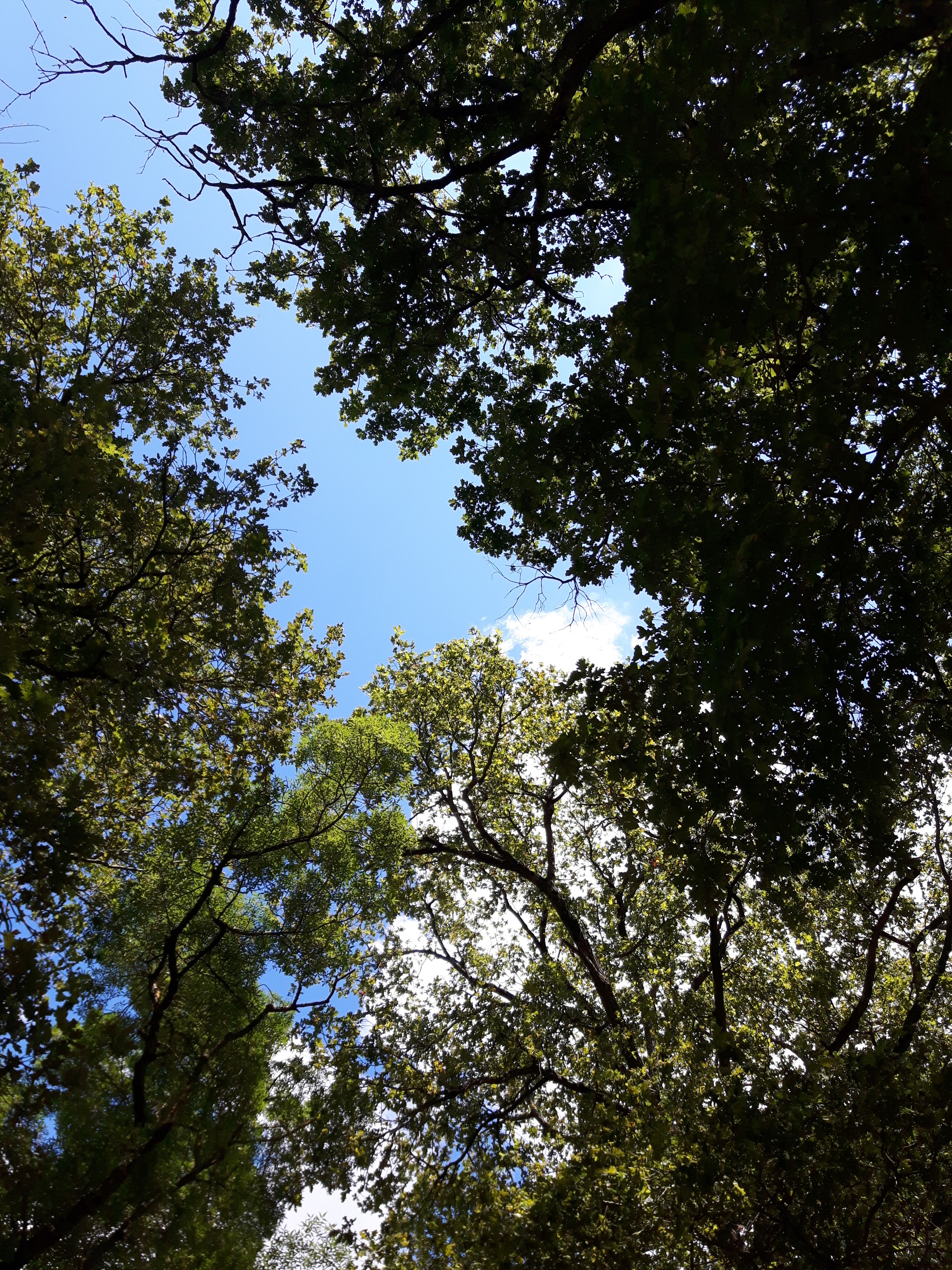 Photo n° 1 de l'avis de David.r fait le 20/07/2018 à 10:02