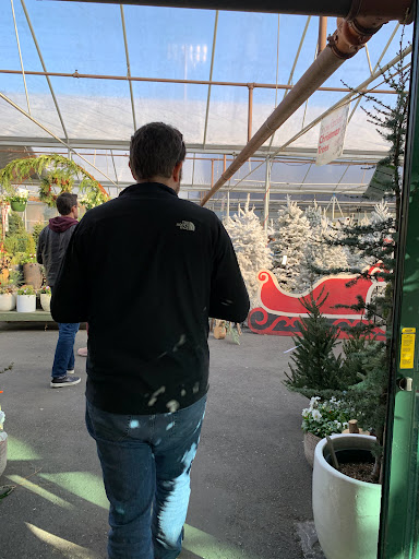 Garden Center «Pike Nurseries», reviews and photos, 615 W Crossville Rd, Roswell, GA 30075, USA