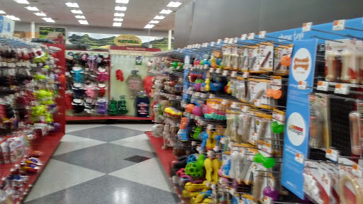 Pet Supply Store «Petco Animal Supplies», reviews and photos, 45 Holyoke St, Holyoke, MA 01040, USA