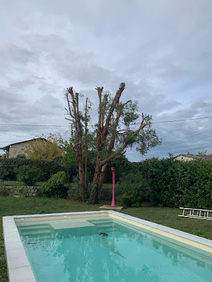 Entreprise MAUGER Élagage /élagueur grimpeur à Preignac