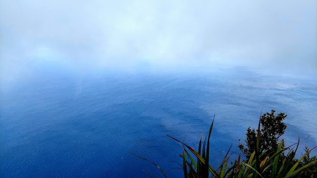 Comments and reviews of Bream Head (Te Whara) Track Scenic Lookout