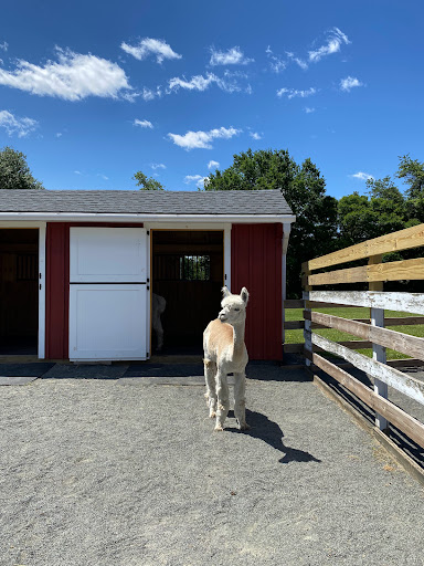 Gift Shop «Hidden Spring Lavender Farm and Gift Shoppe», reviews and photos, 890 Belle Mead-Blawenburg Rd, Skillman, NJ 08558, USA