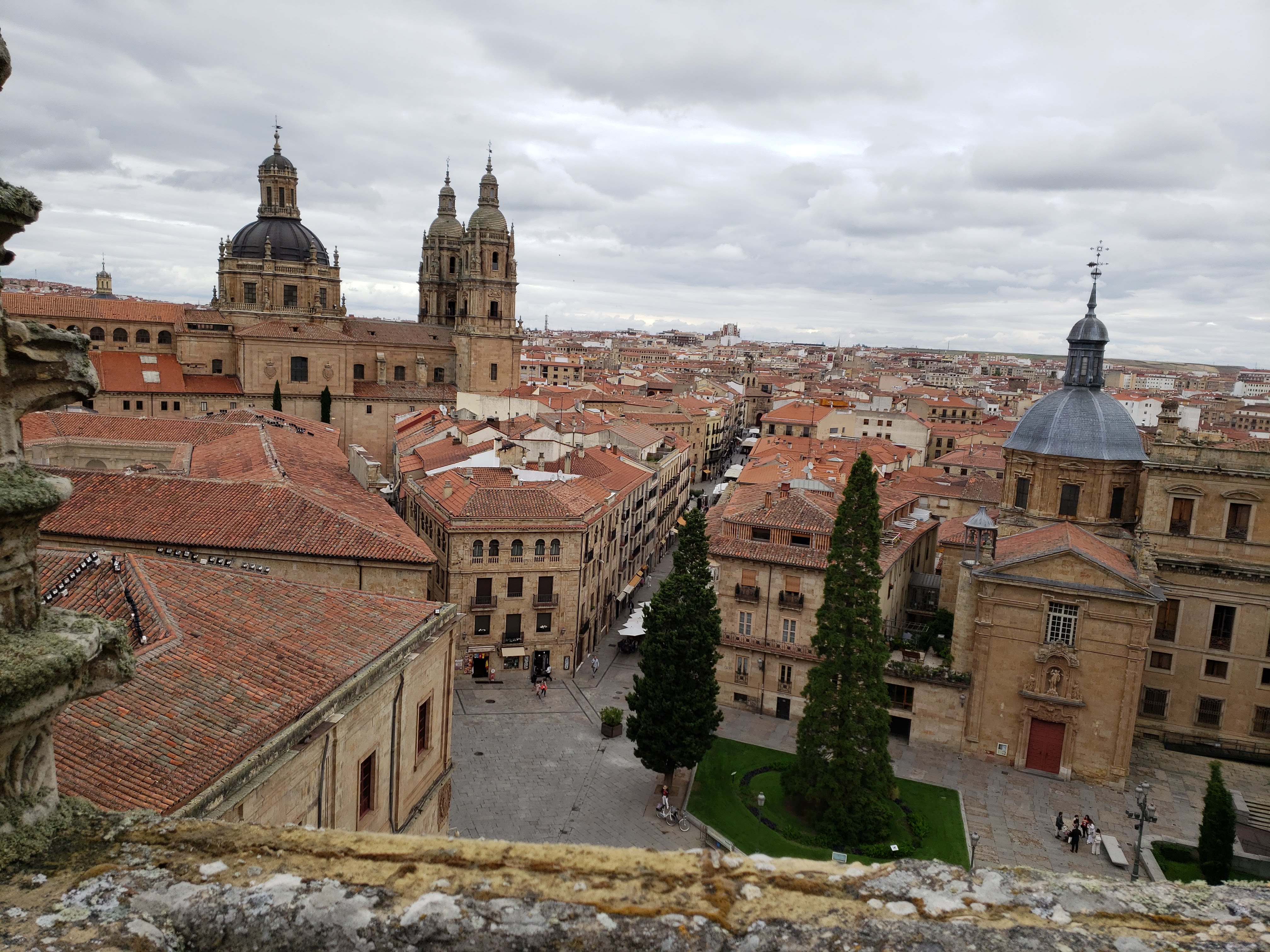 Catedral Vieja de Santa Maria de la Sede de Salamanca - 17