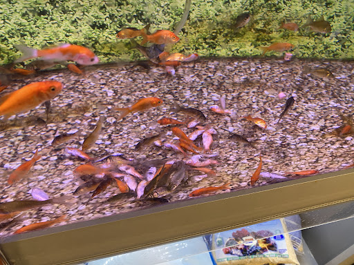 Pet Store «PetSmart», reviews and photos, 10451 Baltimore St NE, Blaine, MN 55449, USA