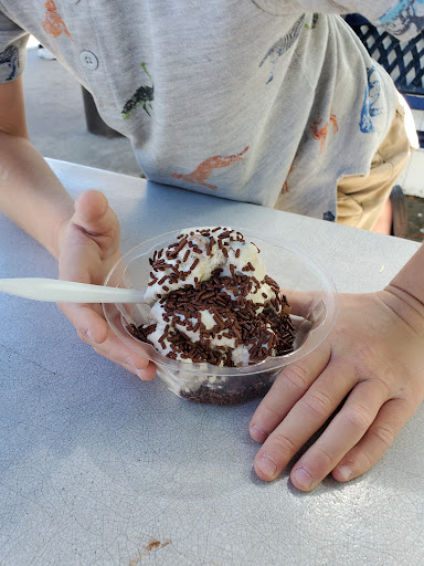 Ice Cream Shop «Blue Moon Ice Cream Shop», reviews and photos, 9032 S Kasson St, Cedar, MI 49621, USA