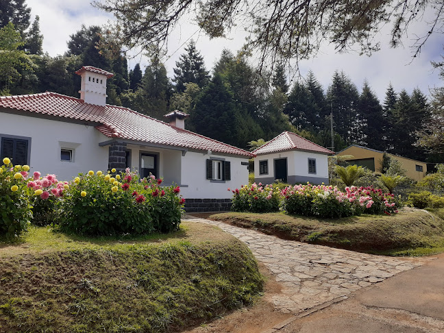Parque Florestal Pico Das Pedras - Agência de viagens