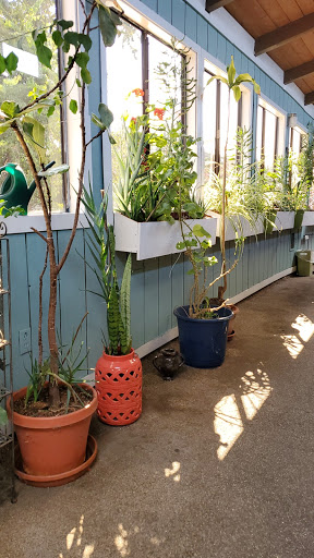 Car Wash «Pacific Car Wash Corporation», reviews and photos, 41080 Trimboli Way, Fremont, CA 94538, USA