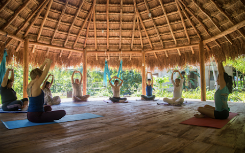 Holistic Tikun - Cozumel Retreat & Eco Center image