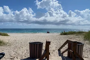 Fort Lauderdale Dog Beach image