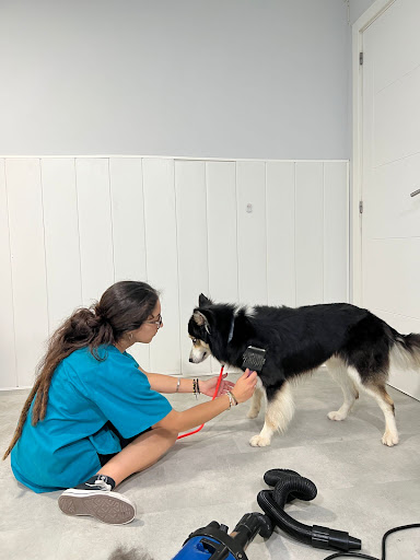Helios Centro Veterinario y Estética en Cádiz