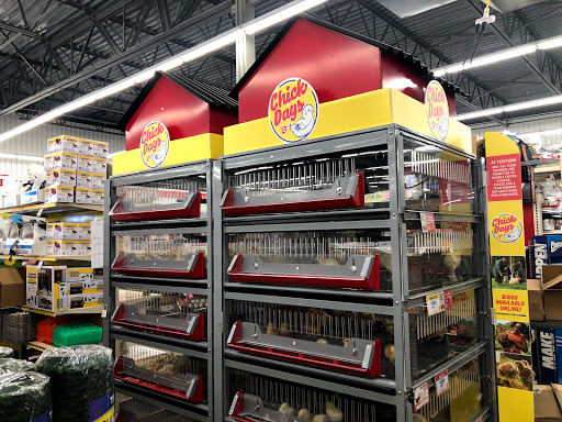 Home Improvement Store «Tractor Supply Co.», reviews and photos, 134 Bridge St, Pelham, NH 03076, USA