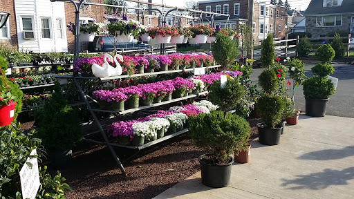 Florist «Hillside Nursery», reviews and photos, 570 E Baltimore Ave, Clifton Heights, PA 19018, USA