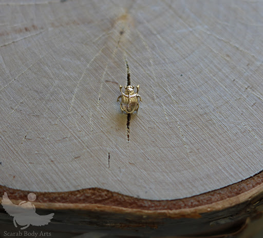 Explore bird family tattoo ideas, creative tattoo ideas in Syracuse, available at Scarab Body Arts