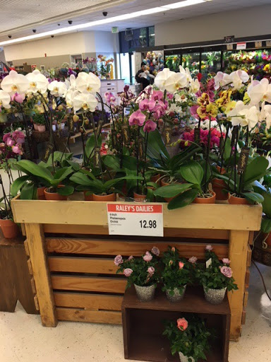 Grocery Store «Nob Hill Foods», reviews and photos, 2270 Oak Grove Rd, Walnut Creek, CA 94598, USA