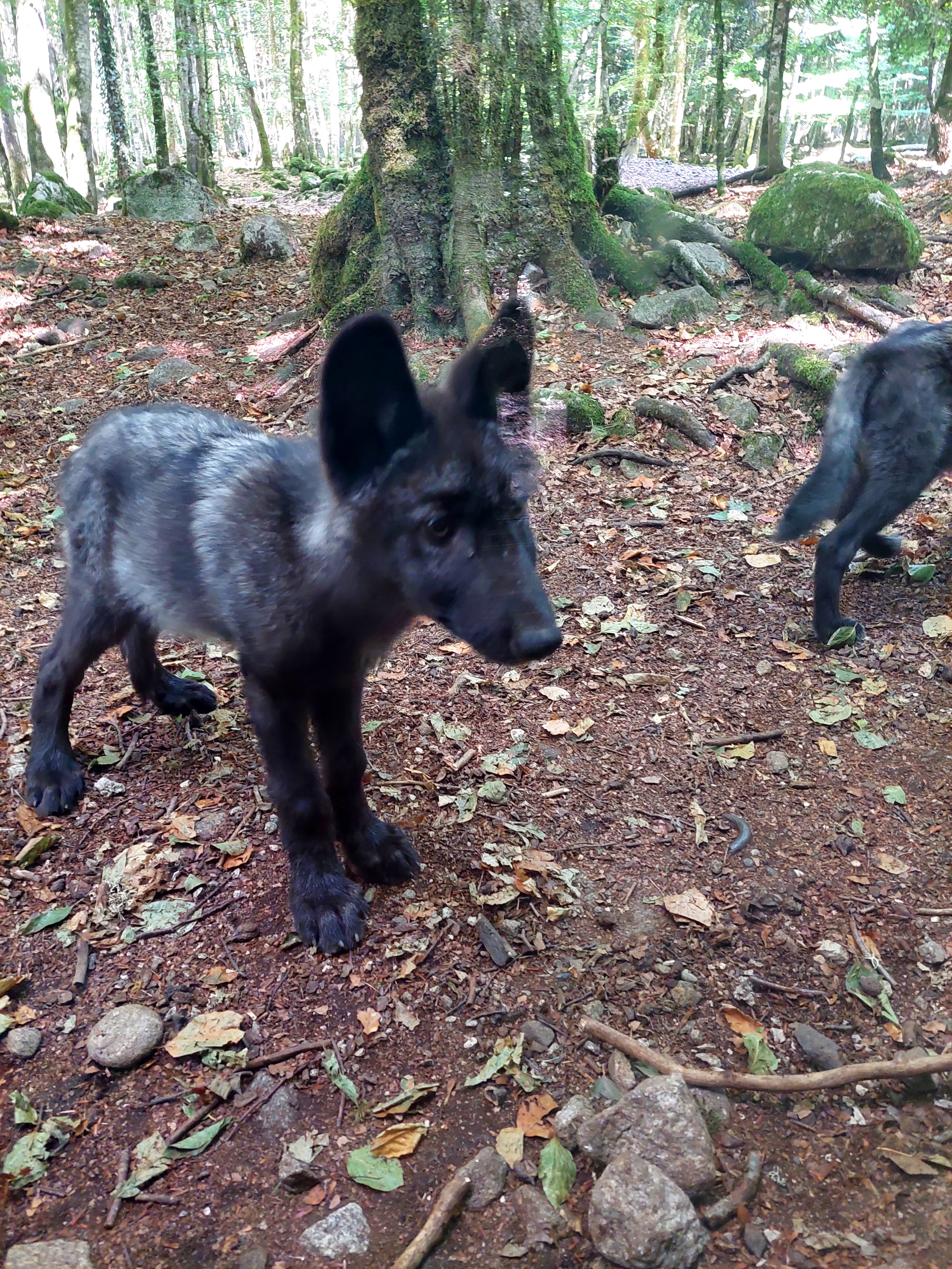 Photo n° 2 de l'avis de SetL.e fait le 27/08/2022 à 21:45