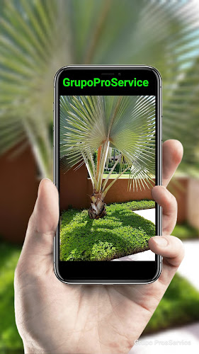 Comentários e avaliações sobre Jardinagem curitiba GrupoProService