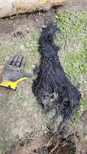 Plumber «CMC Plumbing, Heating & Cooling», reviews and photos, 8419 E 9 Mile Rd, Warren, MI 48089, USA