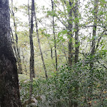 Photo n° 30 de l'avis de pascal. fait le 19/10/2019 à 06:41 pour Parc naturel régional du Haut-Languedoc à Saint-Pons-de-Thomières