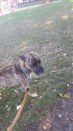 Archie Anderson Park - photo 21