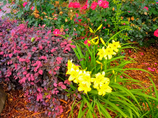 Hamburger Restaurant «Canyons Burger Company», reviews and photos, 335 Chambers St, Woodstock, GA 30188, USA