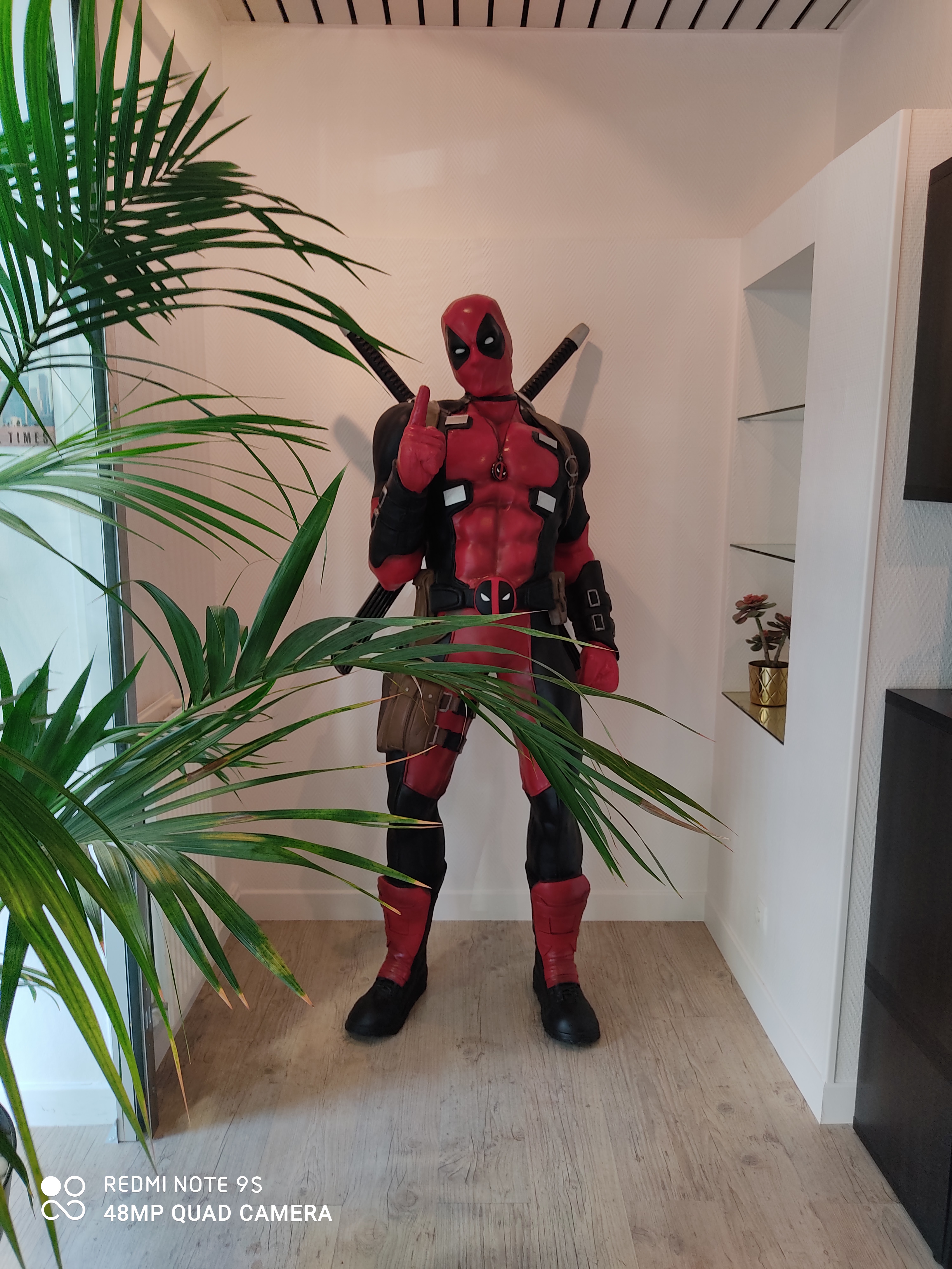 Photo n° 1 de l'avis de valentine.e fait le 16/09/2020 à 20:35