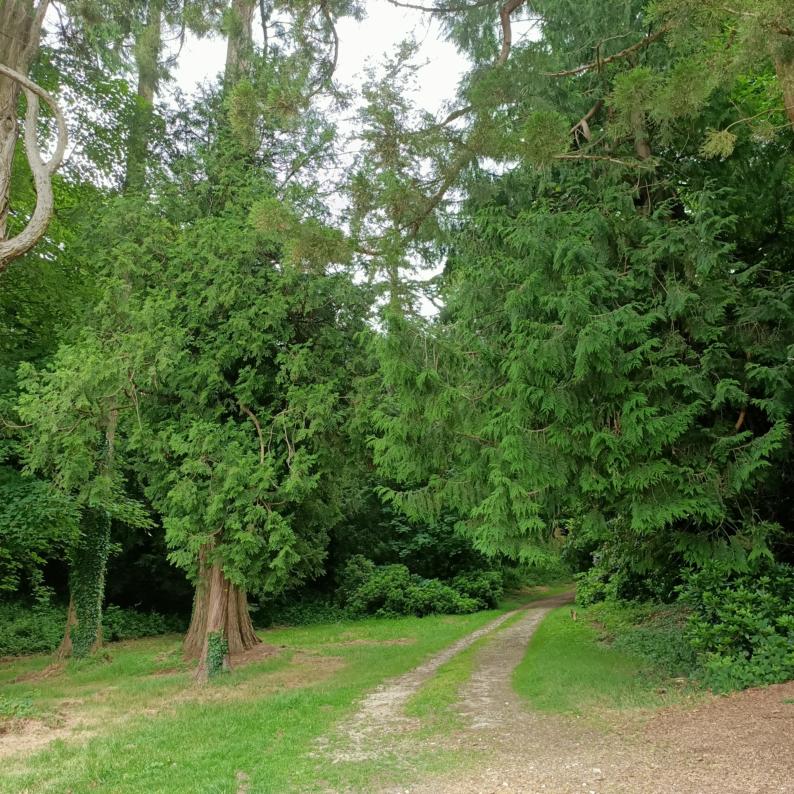 Photo n° 9 de l'avis de Morgane.e fait le 27/05/2022 à 17:32