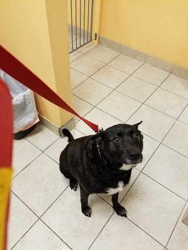 Pet Store «Quality Pet Market», reviews and photos, 1408 Dale Mabry Hwy, Lutz, FL 33548, USA