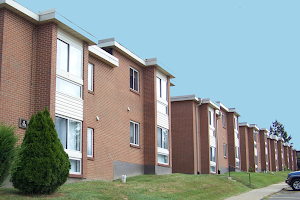 Timberline Apartments image