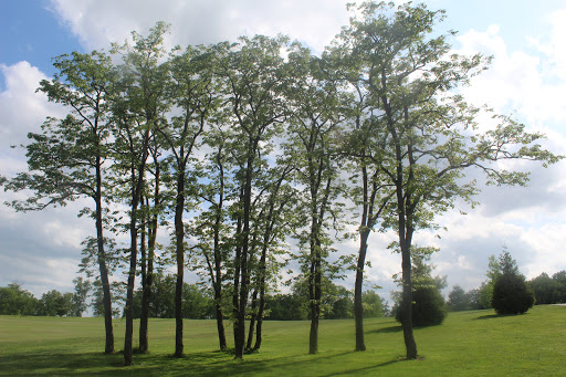 Golf Course «Woods Fort Golf Course», reviews and photos, 1 Country Club Dr, Troy, MO 63379, USA