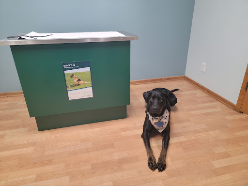 Vet Partners on Main