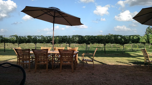 Winery «Solaro Estate Winery», reviews and photos, 13111 Silver Creek Rd, Dripping Springs, TX 78620, USA