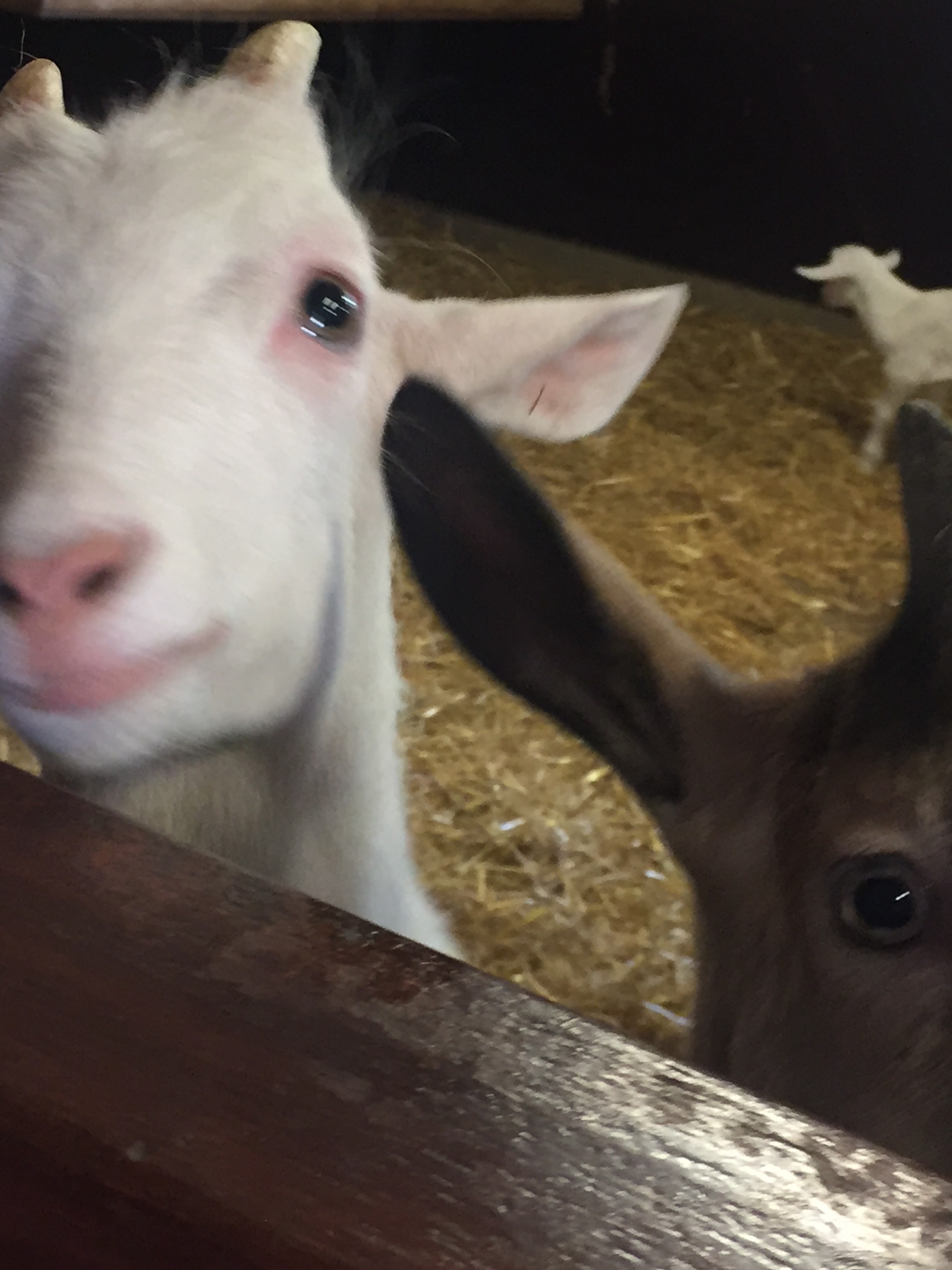 Photo n° 22 de l'avis de lou.o fait le 21/04/2018 à 14:21
