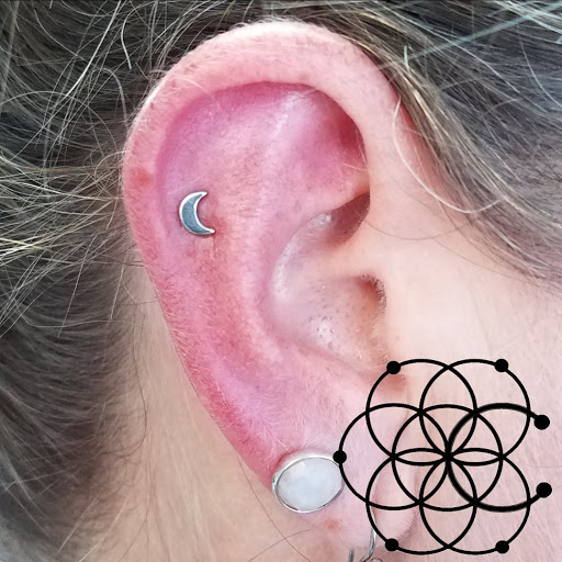 Tattoo Shop «Z Edge Tattoo & Body Piercing South Shop», reviews and photos, 3603 Clark Rd, Sarasota, FL 34233, USA