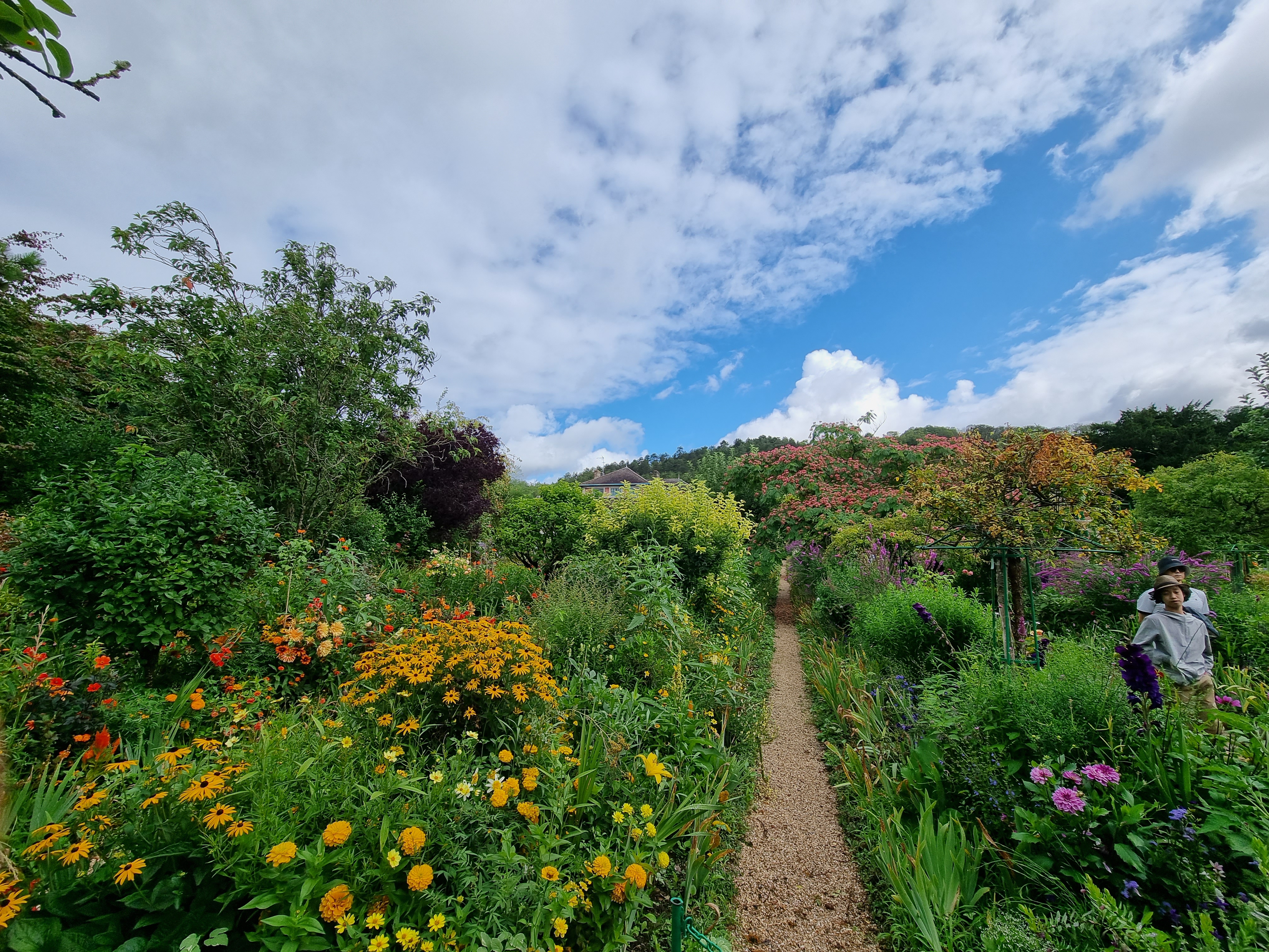 Photo n° 1 de l'avis de Audrey.a fait le 25/07/2023 à 07:20