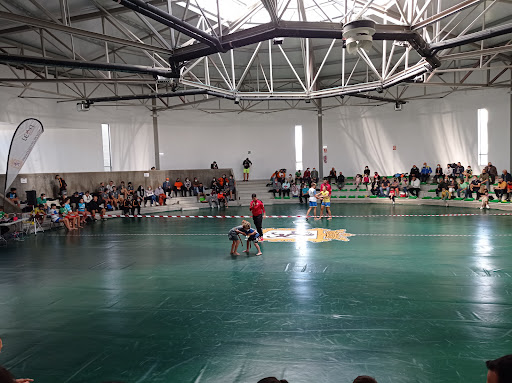 Luchódromo en León, León