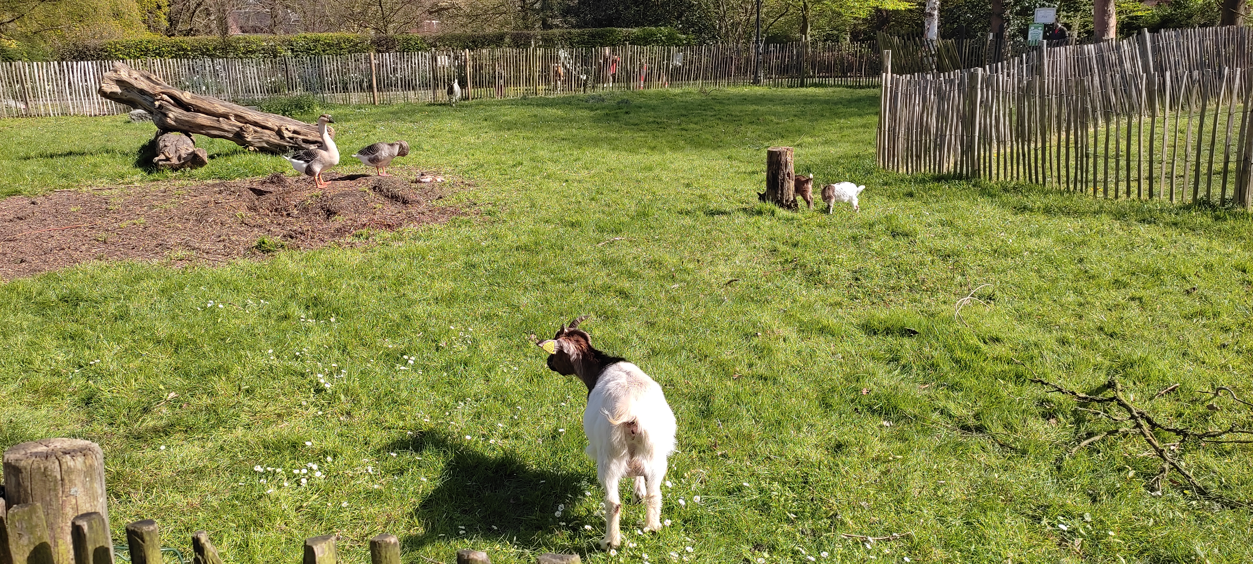 Photo n° 1 de l'avis de C.e fait le 01/06/2019 à 10:25